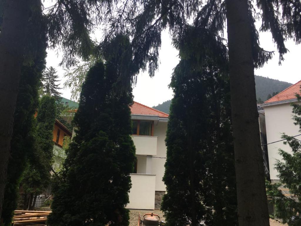 ביילה טושנד Manyi Villa מראה חיצוני תמונה
